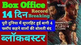 Baaghi 4 Box Office Collection | Baaghi 4 13th Day Collection, Baaghi 4 14th Day Collection, Tiger