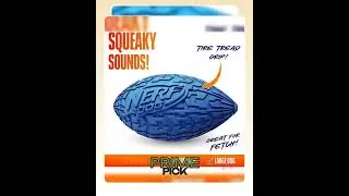 Nerf Tire Football Dog Toy with Interactive Squeaker, Lightweight, Durable and Water Resistant, 6...