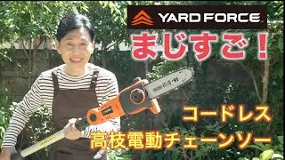 【厳選商品】高枝電動チェーンソーの実力がヤバすぎる