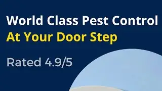 Professional pest control service