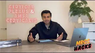 Ansa Cervicalis & Cervical Plexus for the MRCS | MRCS Hacks