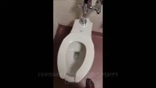Halifax's Loudest Toilets