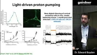 Optical and molecular tools for analyzing and controlling brain circuits - Dr. Edward Boyden