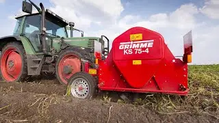 Potato Haulm Topping | GRIMME KS 75-4