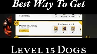 The Walking Dead Survivors (TWDS): Best Way to Get Level 15 Dogs!!