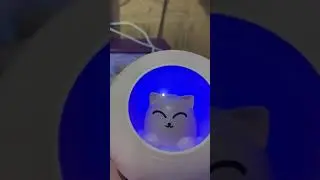 Unboxing cute kitty mini LED diffuser