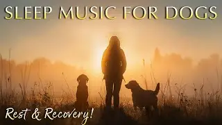 Calm Sleep Music for Dogs and Humans&nbsp;🐾💤 Gentle Vibrations for Rest & Recovery