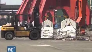 China's Ministry of Commerce survey finds foreign trade fundamentals unchanged