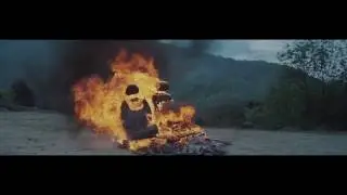 WILD BEASTS- Big Cat