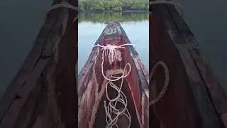 Congo River Sunset Cruise #diani 