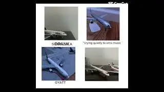 Average model airplane group chat￼