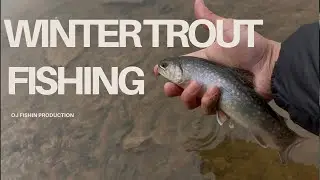 Winter Fishing For Brook Trout