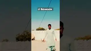 O Bedardeya #shorts #song #youtubeshorts #status #viral #pksperwezsongs