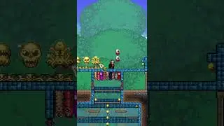 Как создать потрясающее и организованное хранилище в Terraria