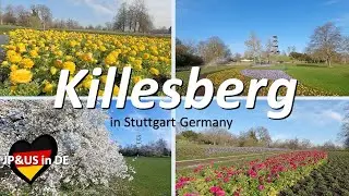 【Stuttgartドイツ】🇩🇪A Stuttgart recommend park H&ouml;henpark Killesberg / Enjoying Germany in Spring!