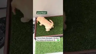 Watch the Porch Potty in action