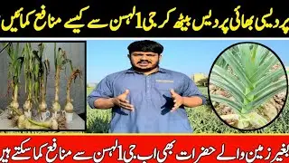 how foreigners earn 2crore from from pakistan by investing 20lakh| g1 garlic farming2023