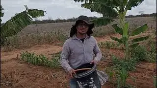 Coleta de solo: antes o laboratório faça isso!