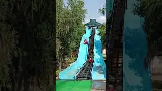 dolphin water park Agra