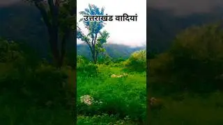 उत्तराखंड वाइब्स! अखियों के झरोंखों से #shorts #shortfeed #viral #nature