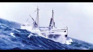 All Halibut Schooner North fishing for Makah Tribe, 30 min   Salmon, Rockfish, Whales, Dolphins.
