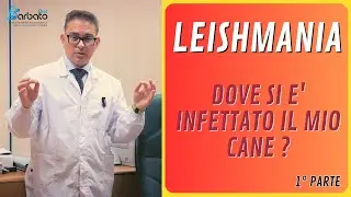 Dove si è INFETTATO il mio Cane ? // Leishmaniosi ( Parte 1)