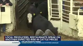 Eye on Agriculture Cattle Supplies