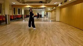 Beginner Linedance Demo 