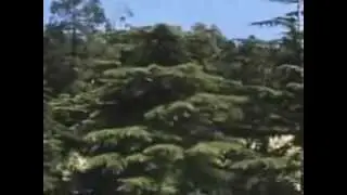 Le parc Berthault en 1956