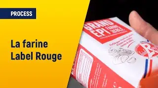 En fili&egrave;re &ndash; La farine Label Rouge | Axiane Meunerie