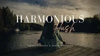 Rustling Leaves and Birdsong | Dark Ambience for Undisturbed Relaxation | For Sleep And Meditation