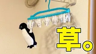 【がみの日常011】社長を洗濯してみた。