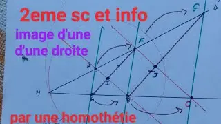Pour 2ème sciences et info homothètie correction d'ex n5