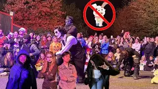 fryboy does NOT like bunnies confirmed?!?!?