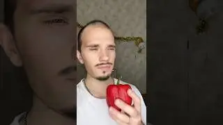 Папа очень добр что не пожалел перец 🫑 #юмор
