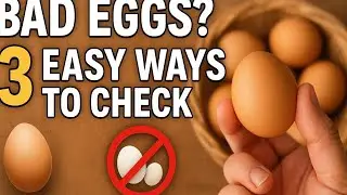 Bad Eggs? 3 Easy Ways to Check at Home! 🥚❤️❤️❤️❤️❤️