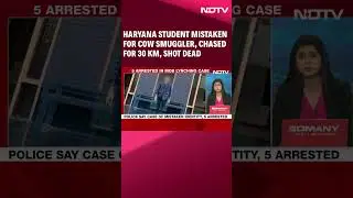 Haryana News | Haryana Student Mistaken For Cow Smuggler, Chased For 30 Km, Shot Dead
