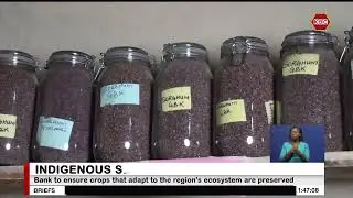 Farmers in Kisumu County have started an indigenous seed bank project