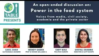 An open-ended discussion on 'Power in the food system'