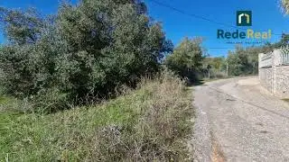 Terreno rustico com 2230 m2 localizado na mosqueira