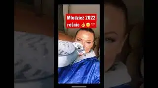 #short #gołębiepocztowe #gołębie #gołębie2022 #brieftauben #pigeons 🕊☺️❤️