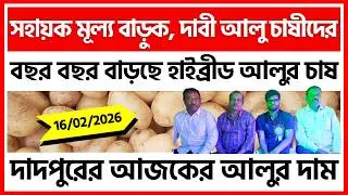 16/02/2026 : দাদপুরের আজকের নতুন আলুর দাম | New Potato Price in Dadpur - India Potato News