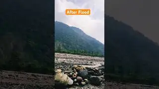 After Flood | Nature | Food #shorts #youtubeshorts #ytshorts #travel #nature #disaster #food #foodie