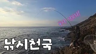 손맛이 그리울때 추천하는 대마도 갯바위낚시 (EP. 하편)