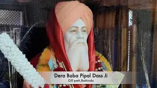 Dera baba Pipal Dass ji | Gill patti | Bathinda | Smagam | 27 April 2025