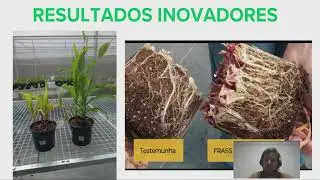 V&Iacute;DEO  RESULTADOS MULTILAB IFSC LAGES - PROJETO FAPESC - 2023TR001515