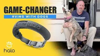 TOP 5 REASONS WHY THE HALO COLLAR IS ESSENTIAL FOR RVing with DOGS | @CalledToWander