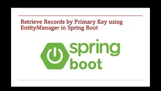 Find by ID using EntityManager in Spring Boot (Primary Key Fetch) – Part 113
