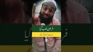 Firoun doob Gaya | راستہ ایک ہی تھا موسی علیہ السلام گزر گئے فرعون ڈوب گیا