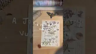 A Journal Entry: Vulnerability 🦋 #art #arttherapy #craftastherapy #artjournal #mindfuljournaling